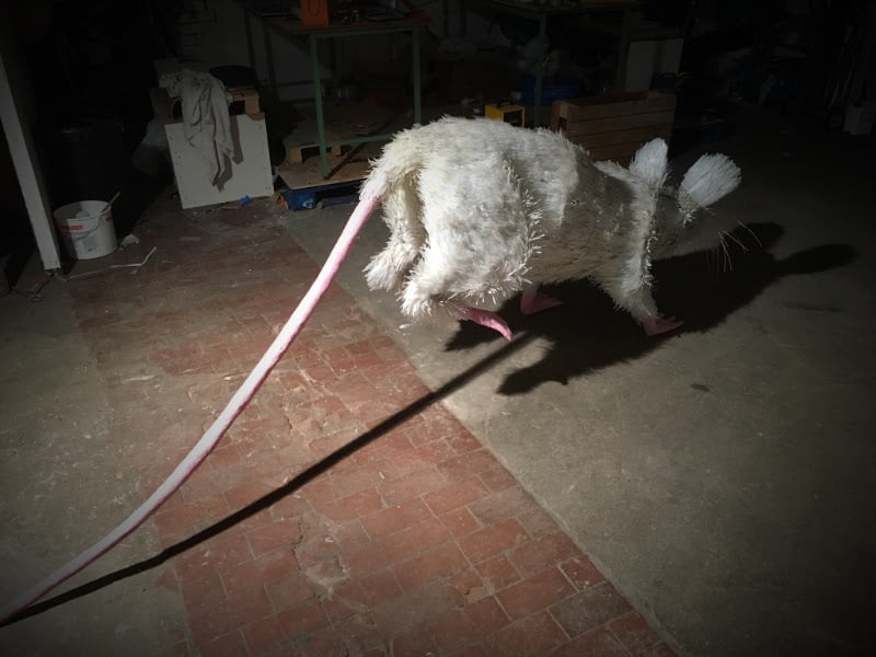 'Super Rat' Hits The Streets of Liverpool's Baltic Triangle 2 Super Rat Liverpool Baltic Triangle