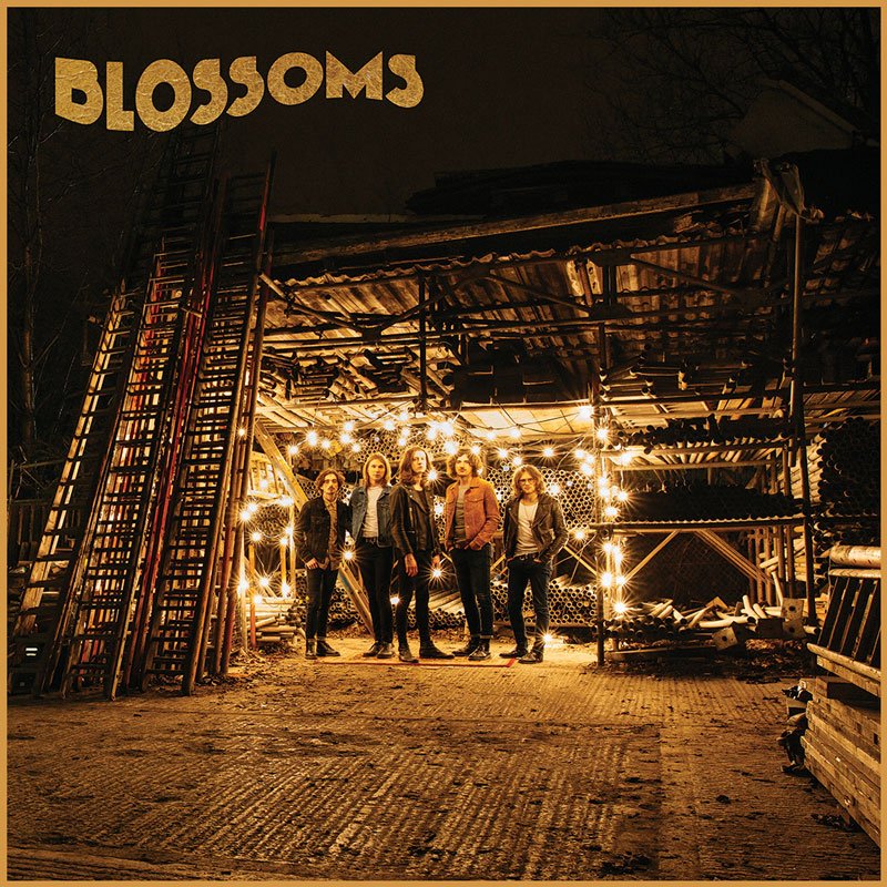 blossoms-band