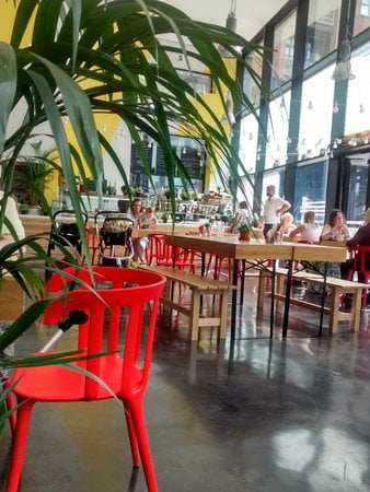 Book Clubs in Liverpool 2 the-garden-at-fact-liverpool