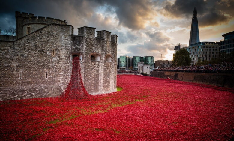 Tower of London Weeping Window Poppies Coming To Liverpool's St George's Hall From 7th November