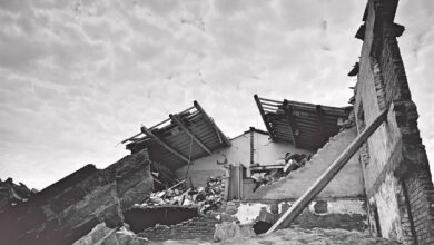 Veeno, The Italian Wine Café To Donate All Profits To The Italian Earthquake Fund