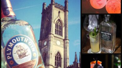 Competition; Win A Pair of Tickets For The Gin Journey