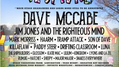 Smithdown Road Festival Announce First Wave of Acts For 2017 Event