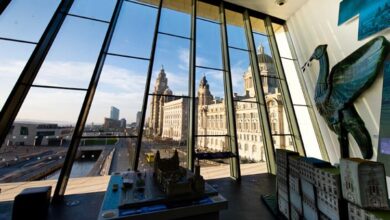 Liverpool Museums and Art Galleries Guide 1