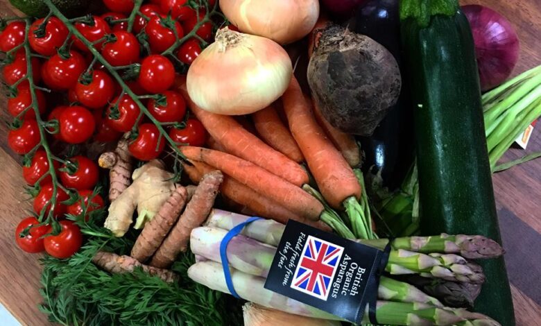 Root 22 Organic Fruit & Veg Box Deliveries Bringing Your 5 A Day To Your Doorstep 3