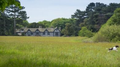 Sense and Sensibility Outdoor Theatre At Speke Hall Gardens This July 2