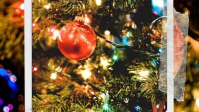 Helen Maw Releases The Beautiful Christmas Track 'December Came Calling' 14 Helen Maw Releases The Beautiful Christmas Track 'December Came Calling'