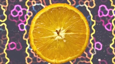 Dr Orange Releases New Single 'W.C.B.T'