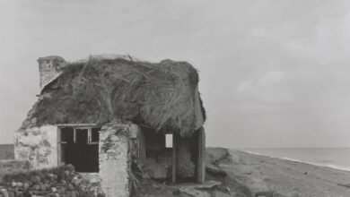 Tate Liverpool Re-Evaluates The Art of Landscape With Major Exhibition 'Radical Landscapes' Coming Summer 2022 1