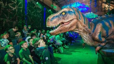 Teach Rex Dinosaur Show at Camp & Furnace Liverpool