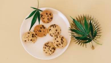 10 Things To Know About Cannabis Edibles 17 10 Things To Know About Cannabis Edibles