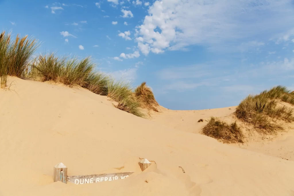 5 Incredible Road Trips From Liverpool - Formby Beach