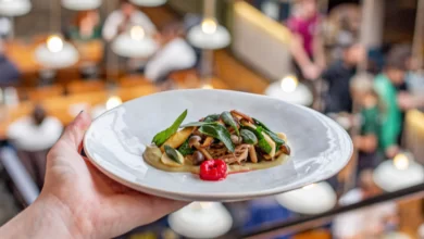 Barnacle - Saltmarsh lamb, raspberry