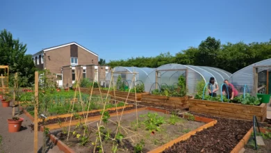 Croxtethvision Community Festival Announced