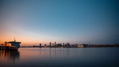 The History of George Henry Lee - Liverpool