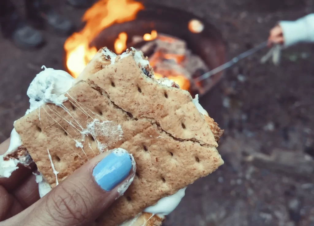 How to Enjoy Vegan Camping Food Without Sacrificing Flavour 4 How to Enjoy Vegan Camping Food