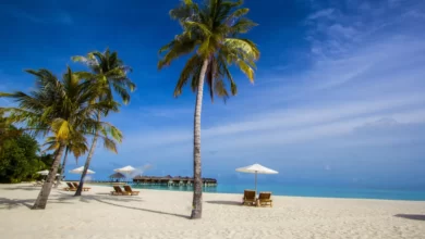 How To Organise Your Next Holiday 4 How To Organise Your Next Holiday