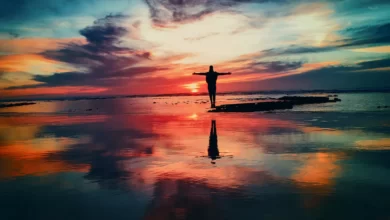 The FIRE Movement: How To Retire Early In 5 Steps 3 The FIRE Movement - How To Retire Early In 5 Steps