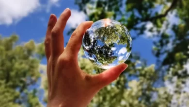 11 Simple Things You Can Start Doing Today To Live An Eco-Friendly Lifestyle