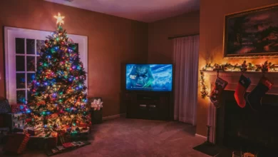 Christmas Shows & Movies To Grace Our TVs Over The Festive Season 5 Christmas Shows & Movies To Grace Our TVs Over The Festive Season