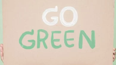 How To Start Living More Sustainably At Home