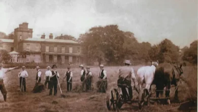 Delving Into The Past: Growing Sudley Is Looking For Stories And Memories About The Greenspaces At Sudley Estate 29 Growing Sudley - Ploughing the field