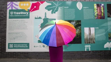 Liverpool ONE Showcases The City's History Through Trees With 'TreeStory' Outdoor Exhibition 28 © Liverpool ONE - TreeStory Exhibition