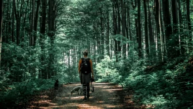 How To Keep Your Heart Healthy 26 How To Keep Your Heart Healthy