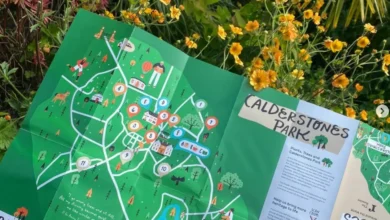 The Reader at Calderstones Tree Map
