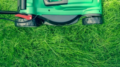 The Pros and Cons of Robotic Lawnmowers