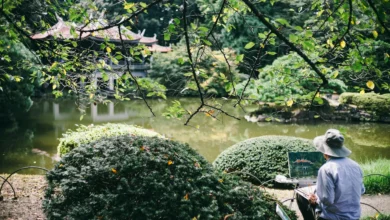 Hobbies To Enhance Your Mental Wellbeing 18 Hobbies to Enhance Your Mental Wellbeing