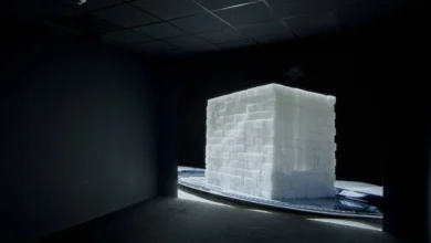 Kader Attia, Oil and Sugar #2, 2007. Credit Kader Attia Credit ADAGP, Paris and DACS London 2024. webp