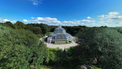 BBC Radio 1's Big Weekend 2025 Coming To Liverpool 1 BBC Radio 1 Big Weekend 2025 Coming To Liverpool