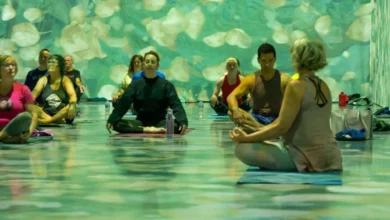 Beyond Van Gogh and Beyond Monet Announce Special Activities For Liverpool 12 Beyond Van Gogh and Beyonf Monet Liverpool - Yoga. Yoga at Beyond Van Gogh. Credit Paquin Entertainment