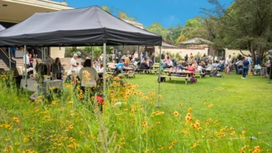 Packed Summer of Free Outdoor Arts, Music And Family Fun Coming To Calderstones Park 79 The Reader's summer programme for 2025 - free Garden Party in walled garden of Mansion House