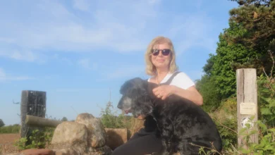 Creative Spotlight: In Conversation with Julie Lawrence 31 Artists Julie Lawrence and her dog Max