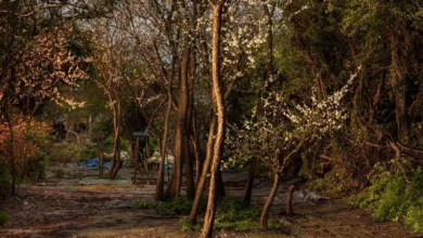 Firehawks: Groundbreaking Liverpool Exhibition Sheds Light on Firesetting and Childhood Trauma 42 Firesetting site 3 from Firehawks research project 2021 © Stephen King