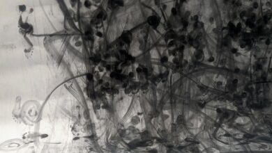 Liverpool Hope University Fine Art Degree Show 2025 33 Liverpool Hope University Fine Art Degree Show 2025 Poster