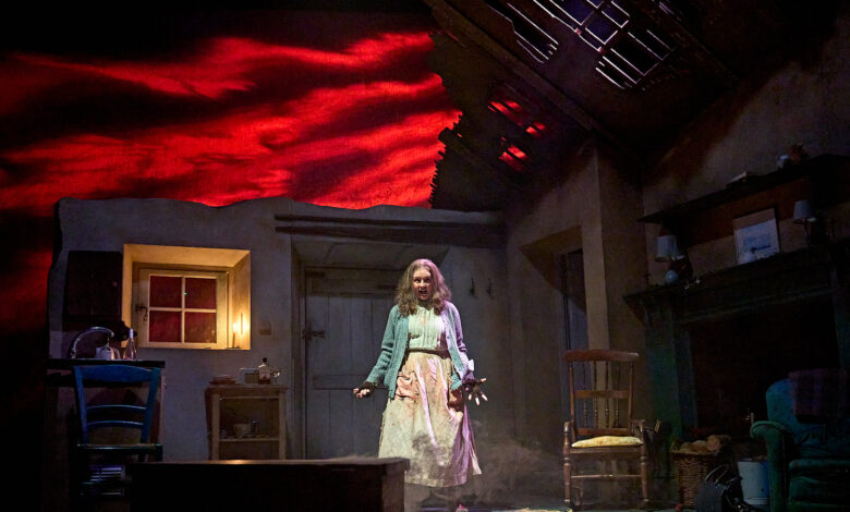 Review: The Croft At Liverpool Playhouse 1 Liza Goddard in The Croft (photo credit Manuel Harlan)_2