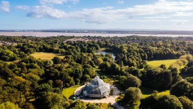 Sefton Park Palm House Summer Holiday Events Announced 60 Sefton Park Palm House Summer Holiday Events Announced - Credit - Fairclough Studios