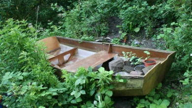 A Day in the Life in Fairfield: Urban Exploration in Liverpool 2 A Day in the Life in Fairfield - Urban Exploration in Liverpool - An old boat with some plants in