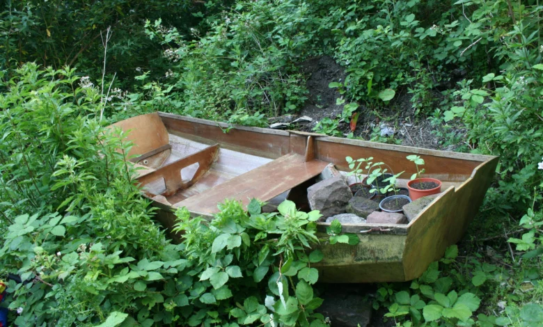 A Day in the Life in Fairfield: Urban Exploration in Liverpool 1 A Day in the Life in Fairfield - Urban Exploration in Liverpool - An old boat with some plants in
