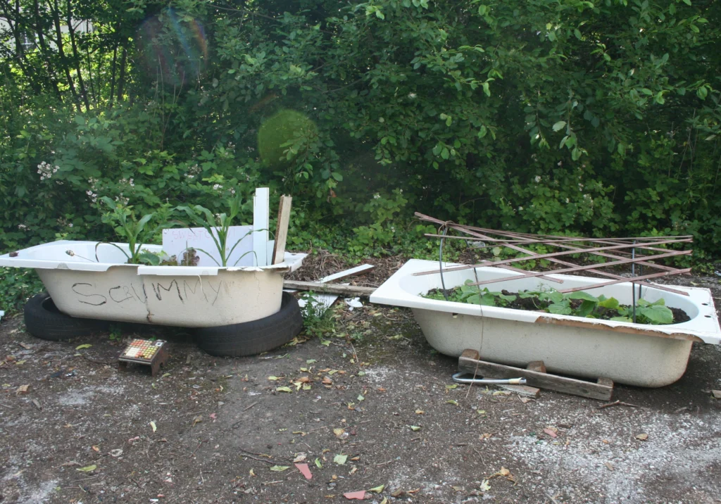 A Day in the Life in Fairfield: Urban Exploration in Liverpool 5 A Day in the Life in Fairfield Urban Exploration in Liverpool - Bath Tubs filled with plants