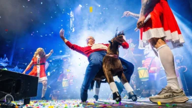 Bongo’s Bingo Unveils Nostalgic Christmas Cracker Shows and Big Fat Bingo of the Year at CONTENT 6 Bongo's Bingo - live your best life this Christmas