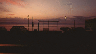 Motel Sundown Release Radiant New Track 'Colours In The Rain' 66 Motel Sundown Colours In The Rain Artwork