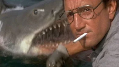 JAWS 50th Anniversary Celebration Coming to VideOdyssey 26 JAWS 50th Anniversary Celebration at VideOdyssey - Brody and the shark