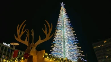 Christmas Lights Switch On In Liverpool & Merseyside 2025 5 Christmas Light Switch On In Liverpool and Merseyside 2025 - Liverpool ONE Christmas Tree