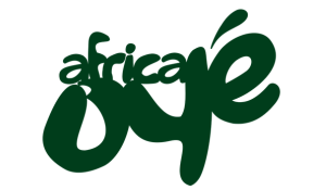Liverpool Music Listings 4 Africa Oyé