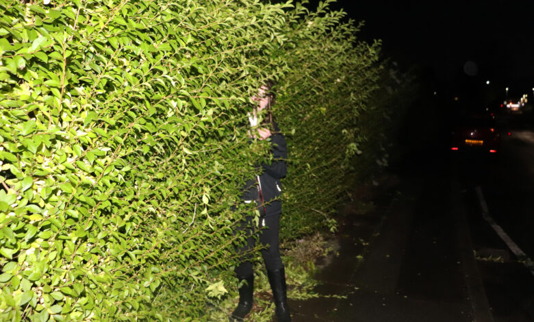 LOOK Climate Lab 2026 Launches at Open Eye Gallery Exploring Climate Change Through Photography 15 LOOK Climate Lab 2026 at Open Eye Gallery Liverpool - Image by Lyla from Bridgewater Youth Club