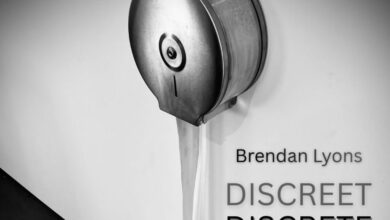 Brendan Lyons Bridewell Exhibition